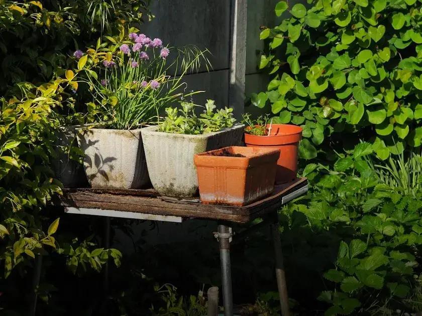 Designing for Privacy and Serenity