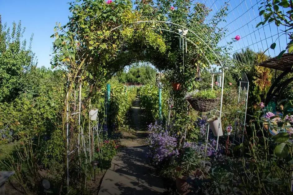 Natural Solutions for Pest Control